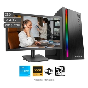 CPU Home Basic , Core i3-10100 , SSD 512GB , RAM 8GB , NVIDIA GeForce G210 1GB , Monitor 21.5' Full HD