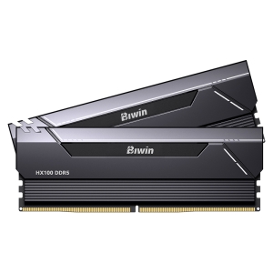 MEMORIA RAM 32G (2X16) HX100 6.00G Memoria RAM DDR5 6000Mhz PC5-48000 - BIWIN
