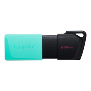 MEMORIA USB 256GB DTXM 3.2 NEGRO/VERDE KINGSTON (DTXM/256GB)