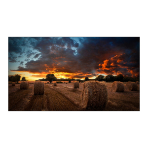 Pantalla Digital Signage Samsung Videowall VM55B-U de 55, IPS, Full HD, 500 nits, Bisel Ultraestrecho, 24/7, LH55VMBUBGBXZA